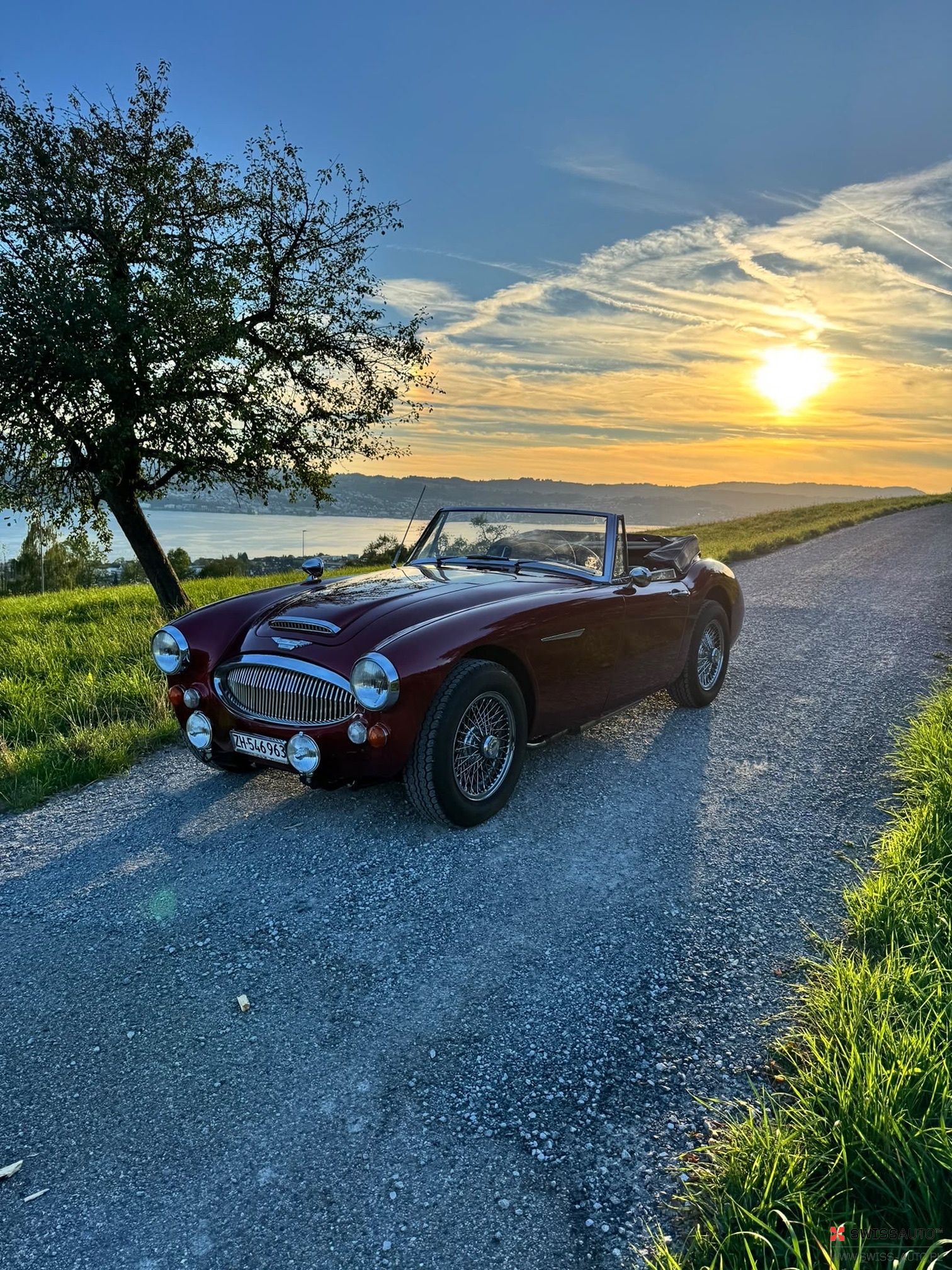 Auction Image