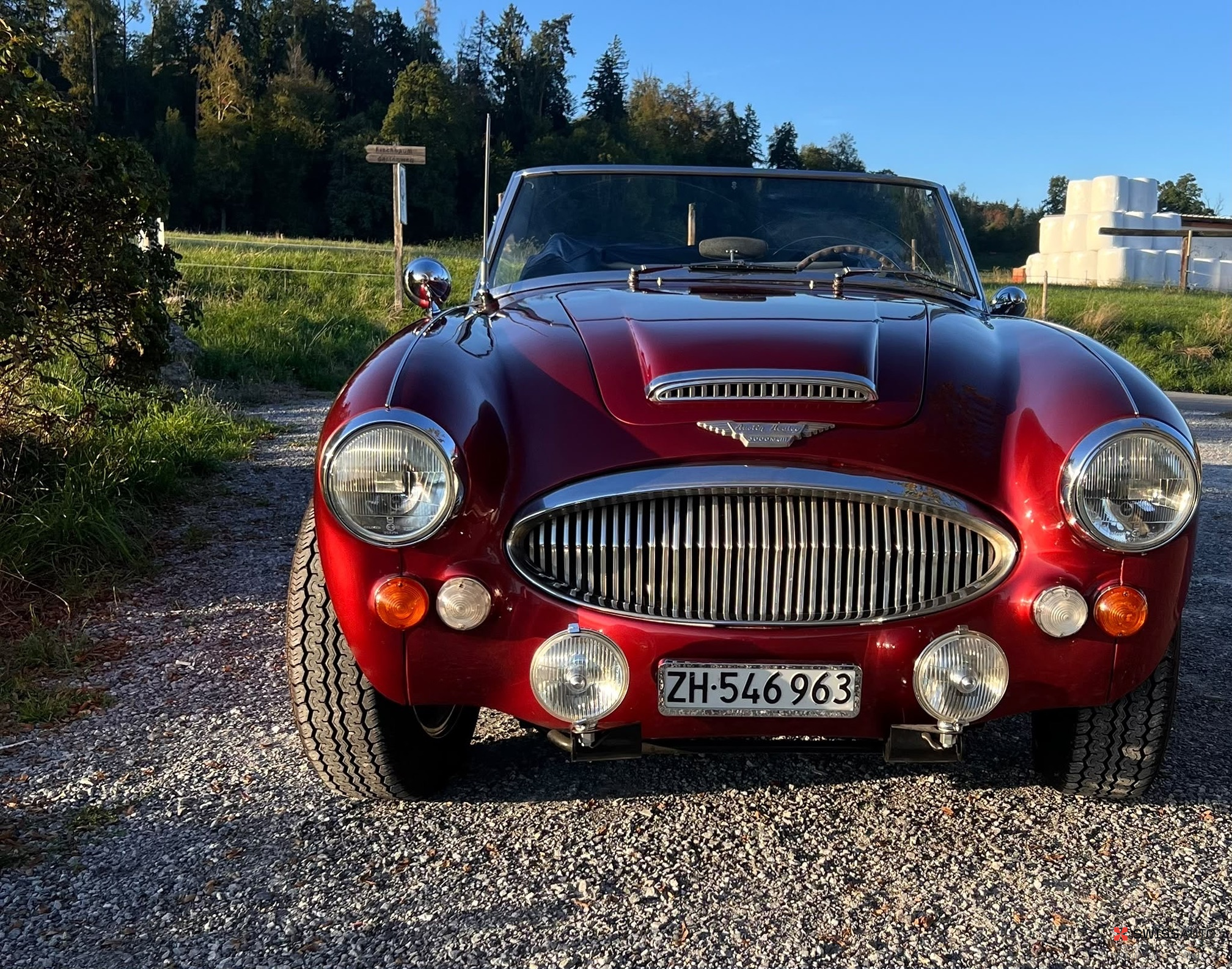 Auction Image