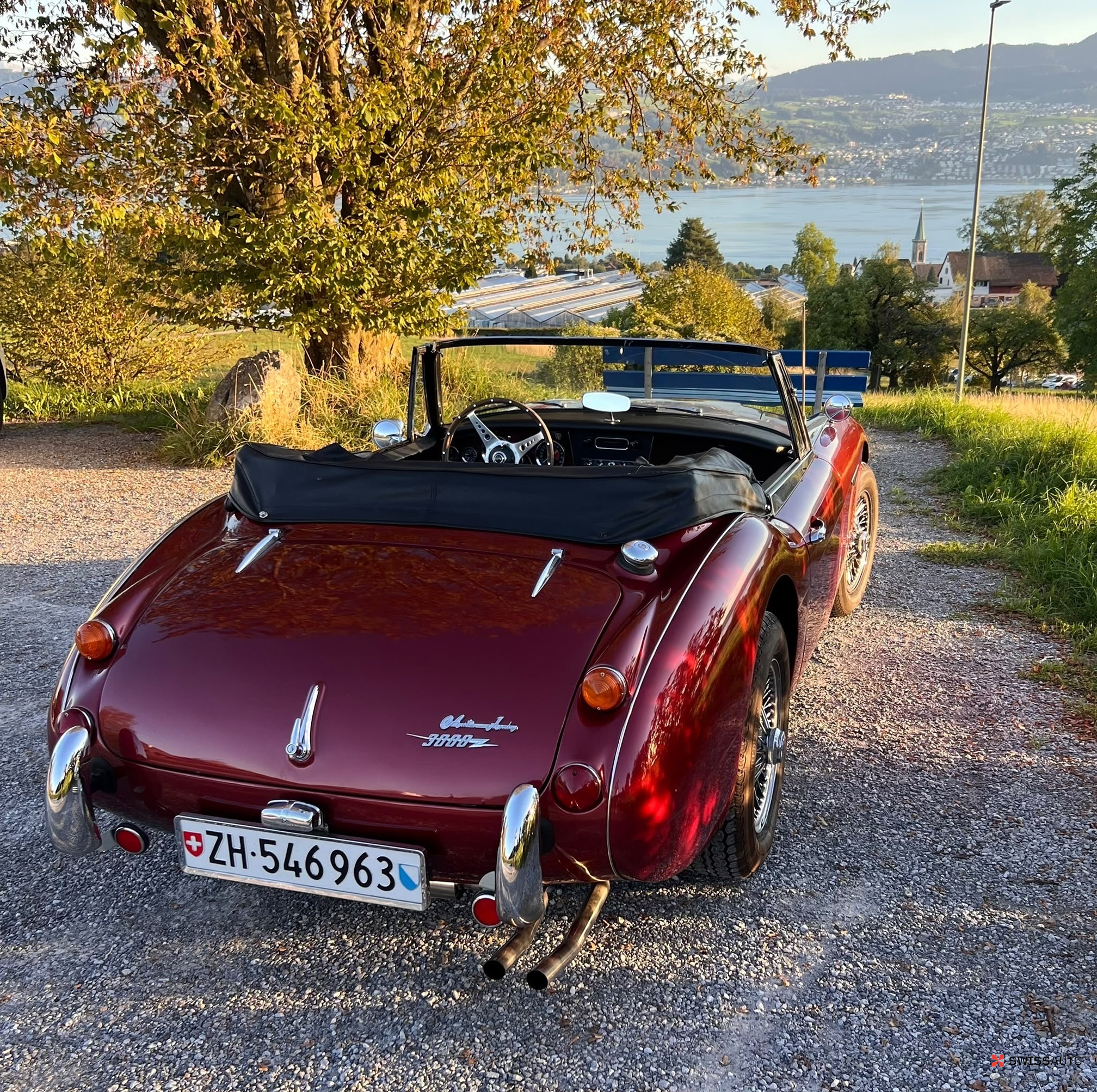 Auction Image