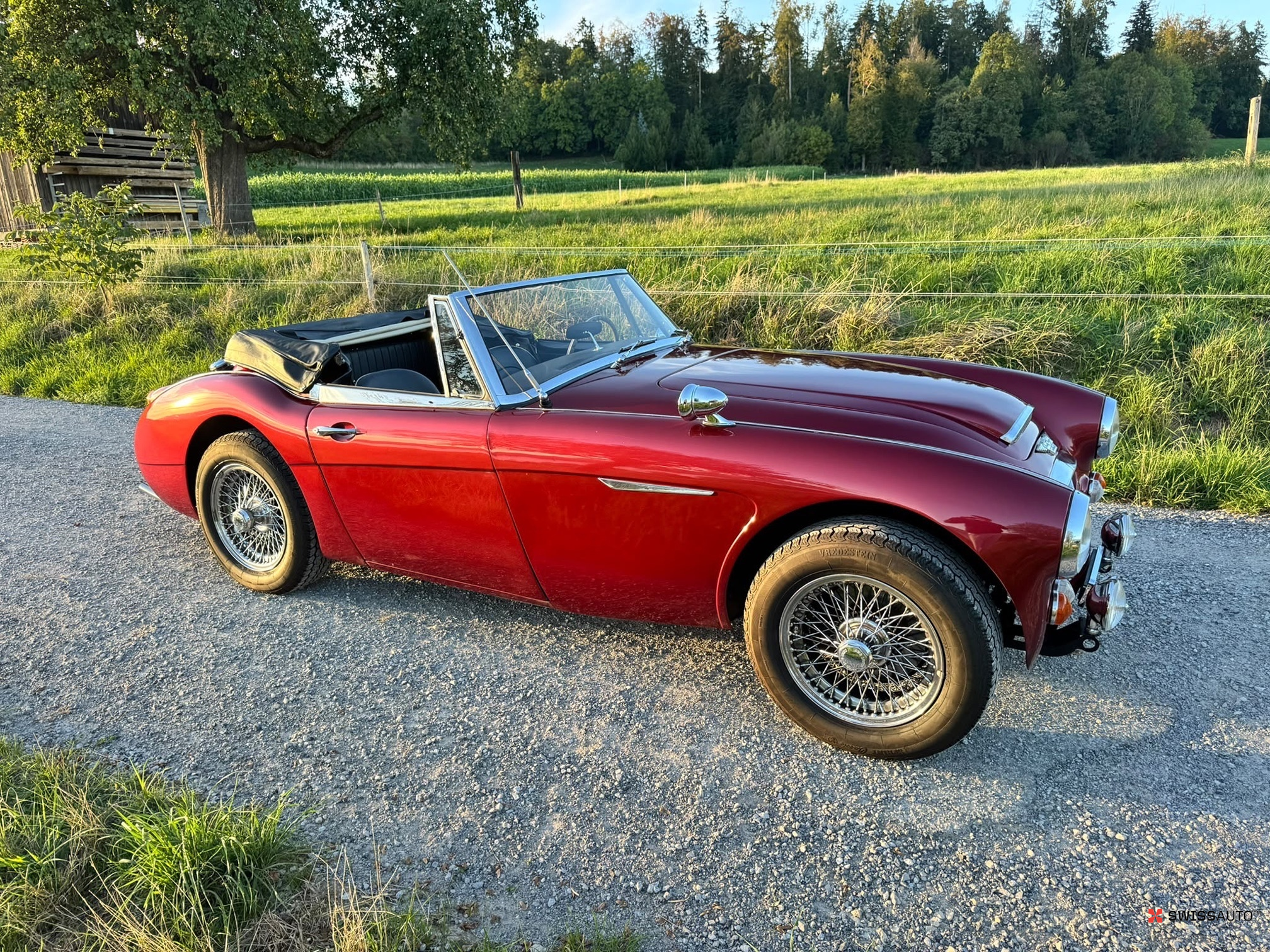 Auction Image