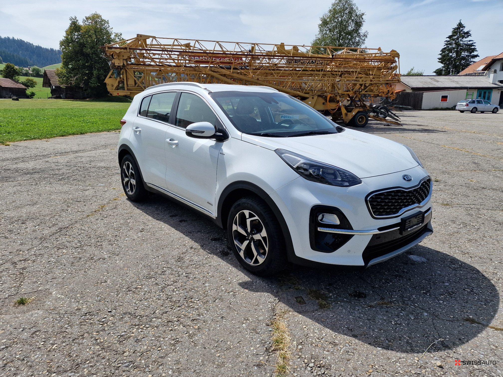 Auction Image