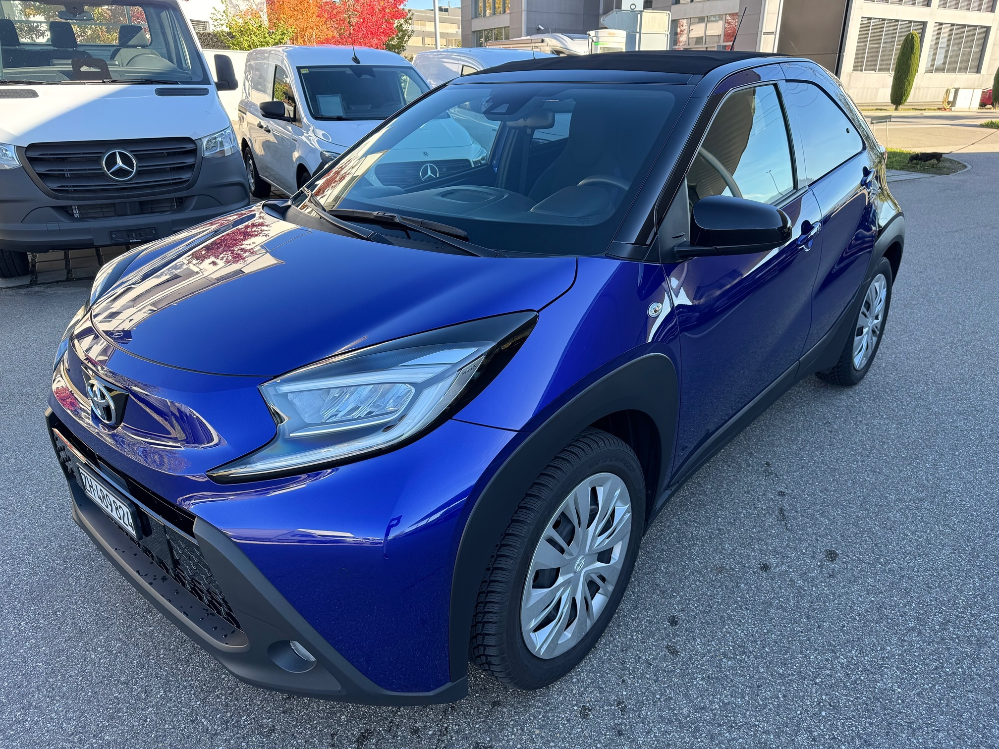 Auction Image