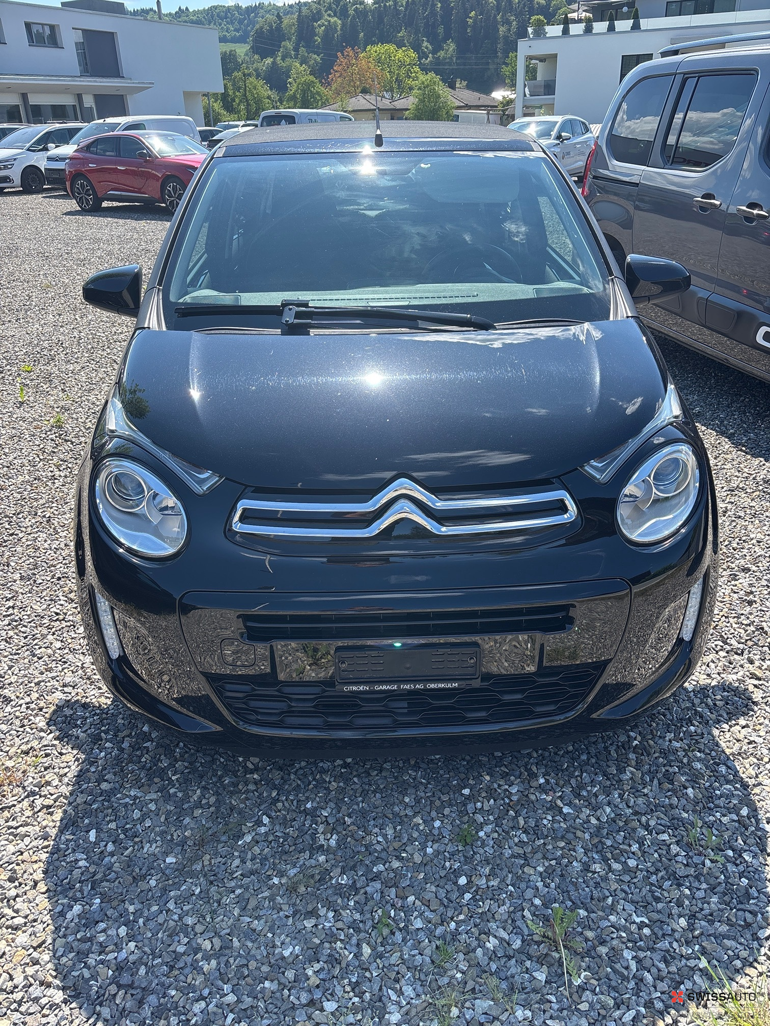 Auction Image