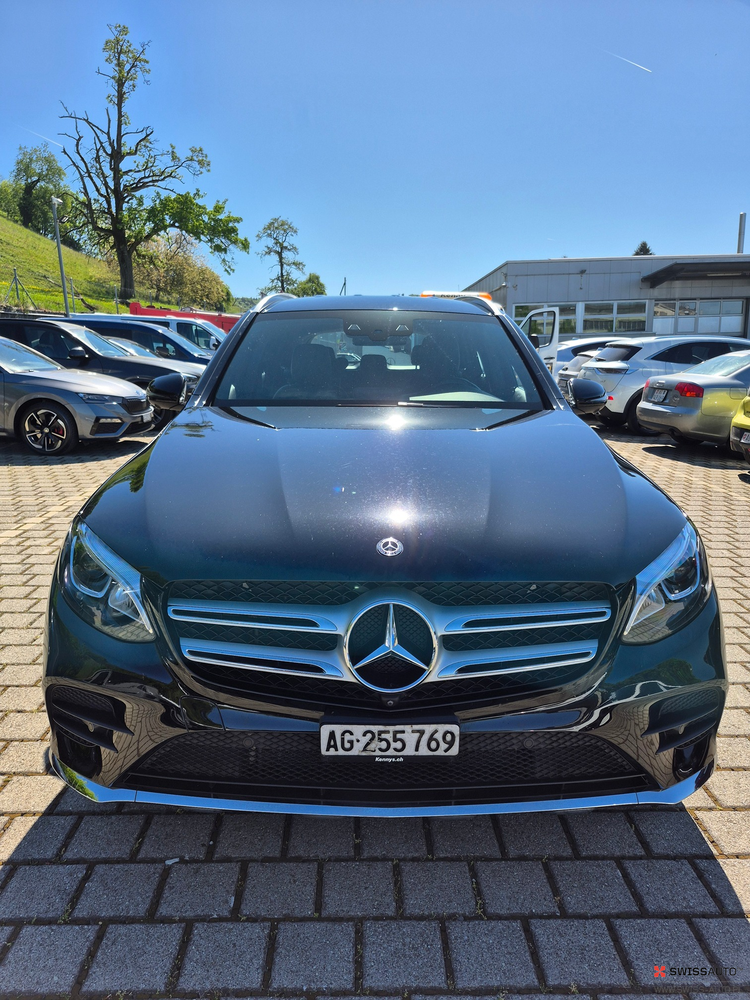 Auction Image