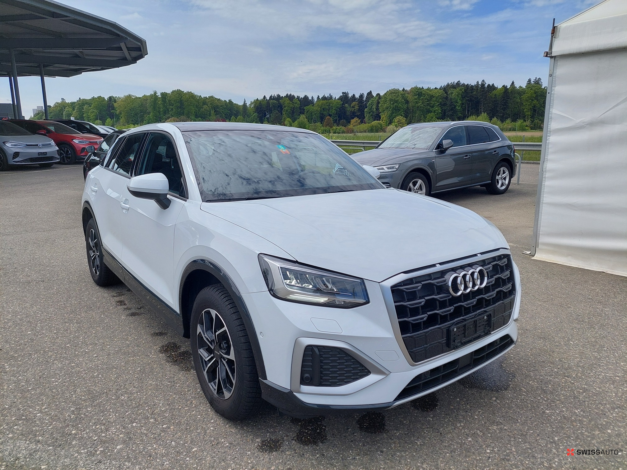 Auction Image