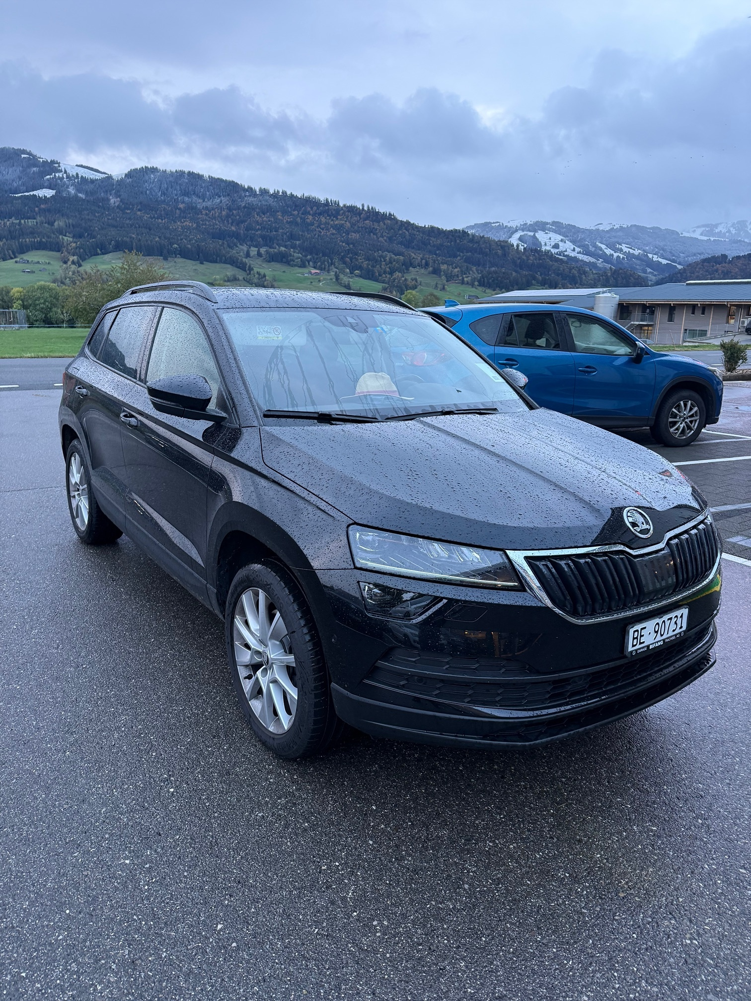 Auction Image