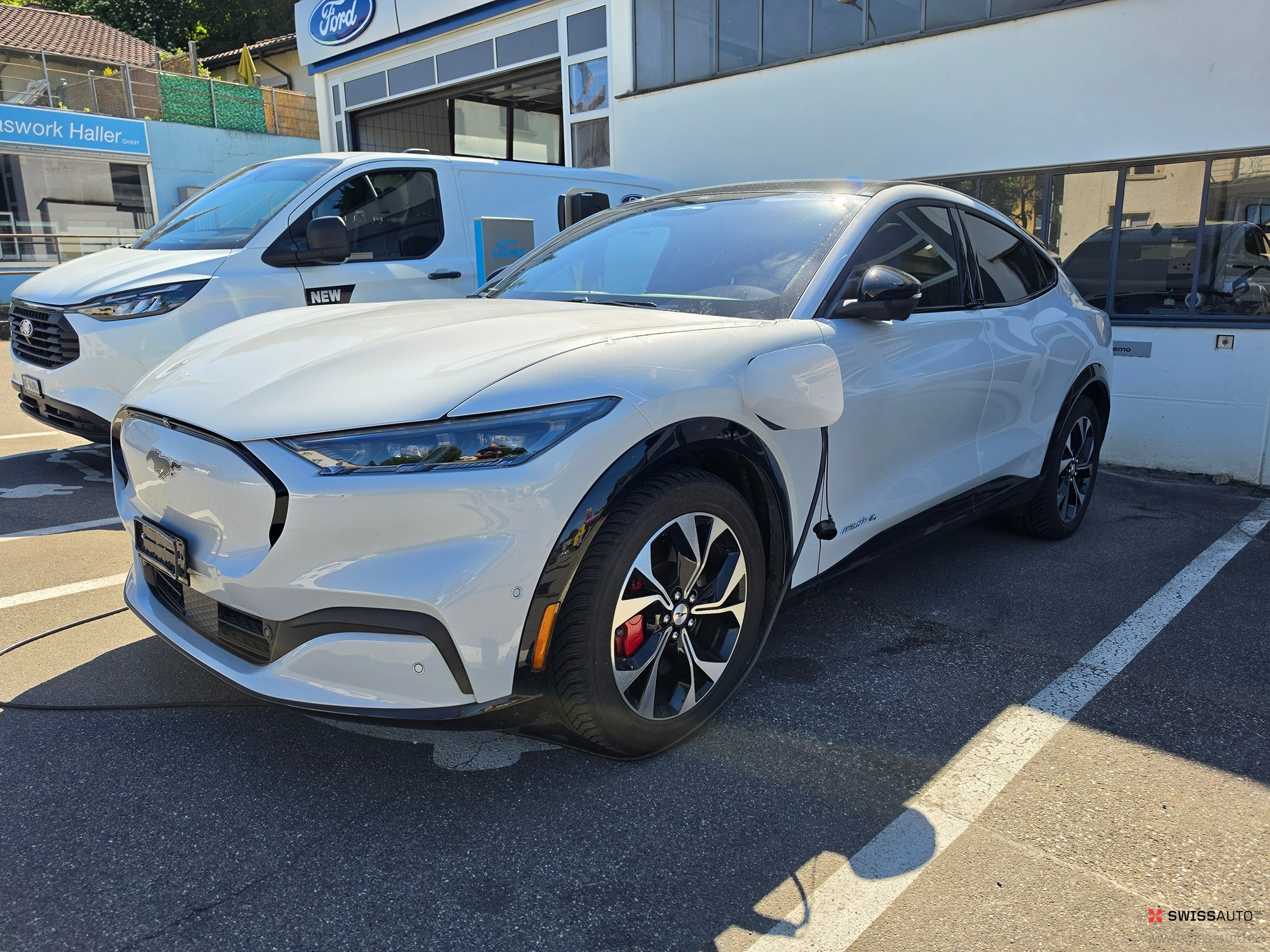 Auction Image
