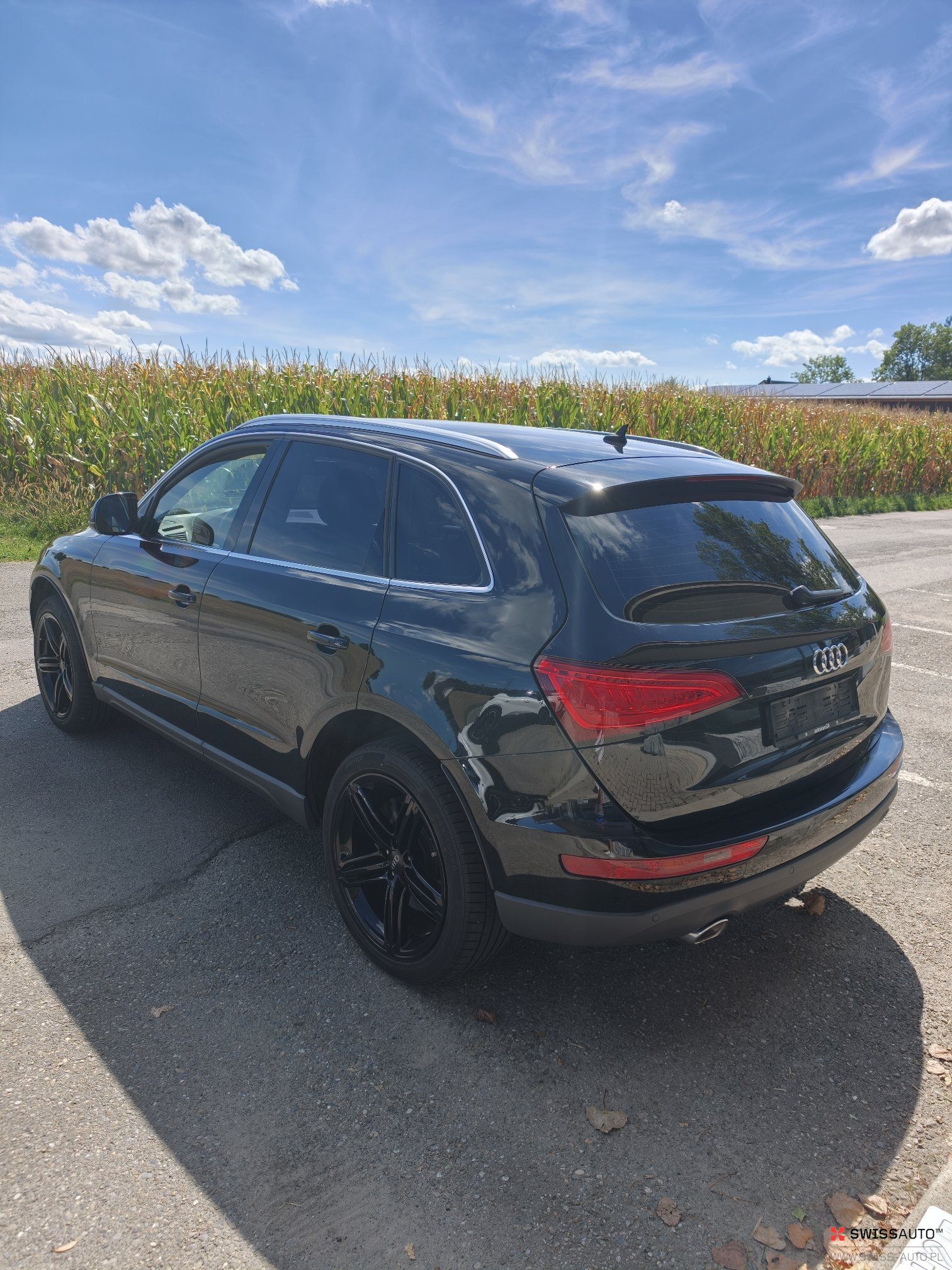 Auction Image