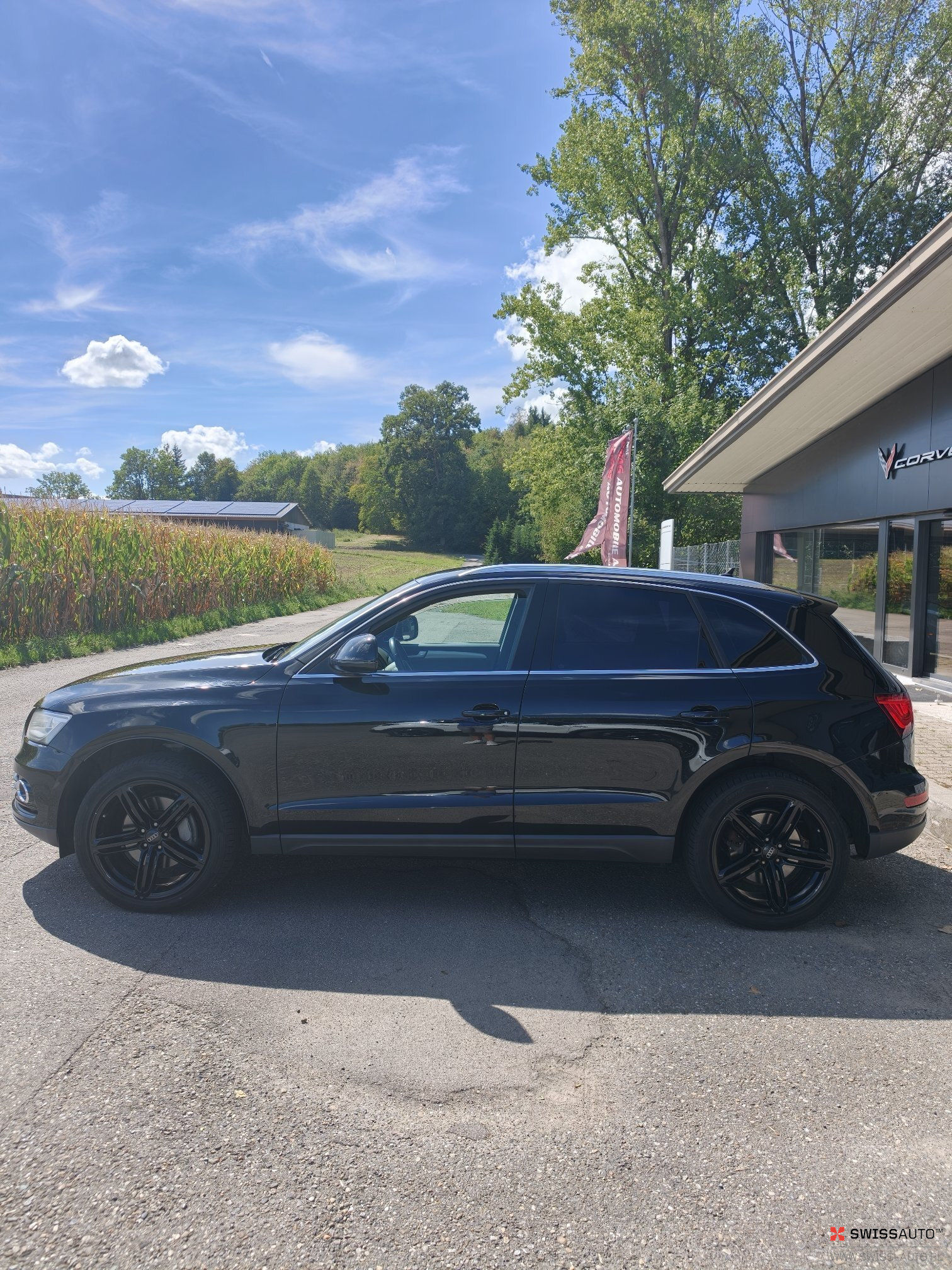 Auction Image