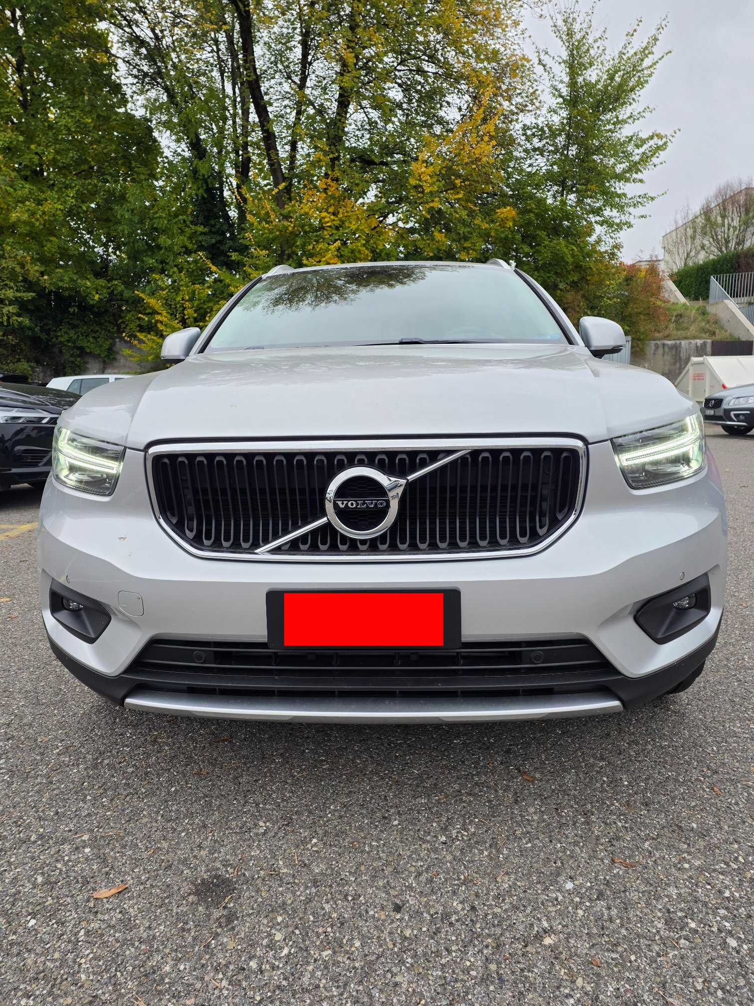Auction Image