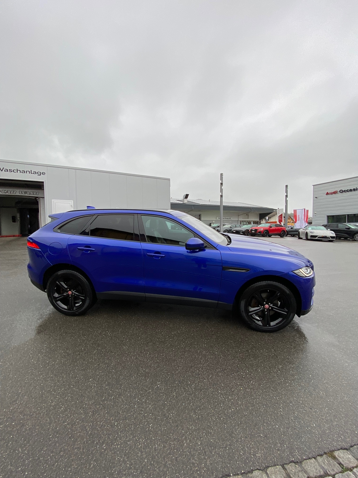 Auction Image