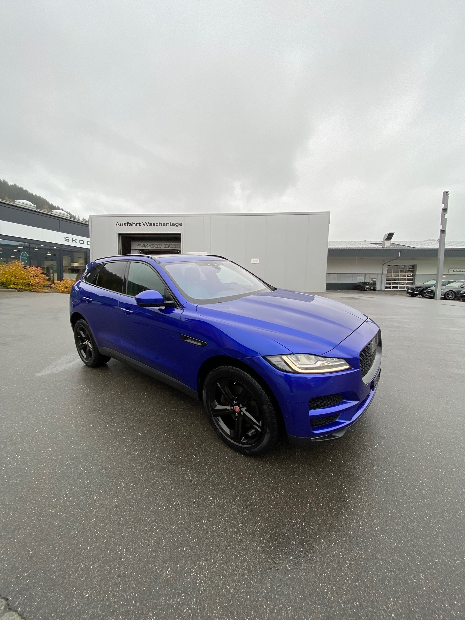 Auction Image