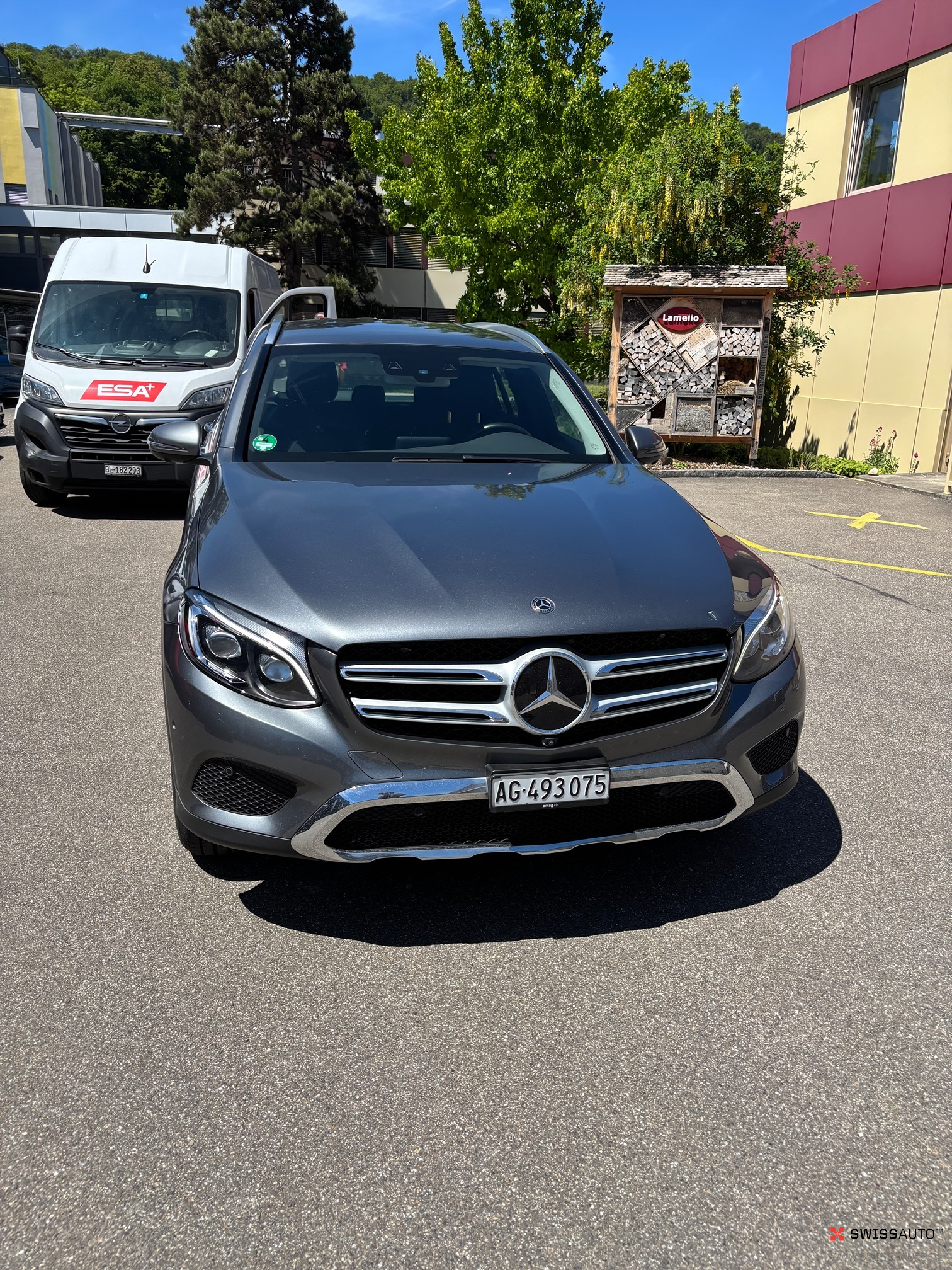 Auction Image