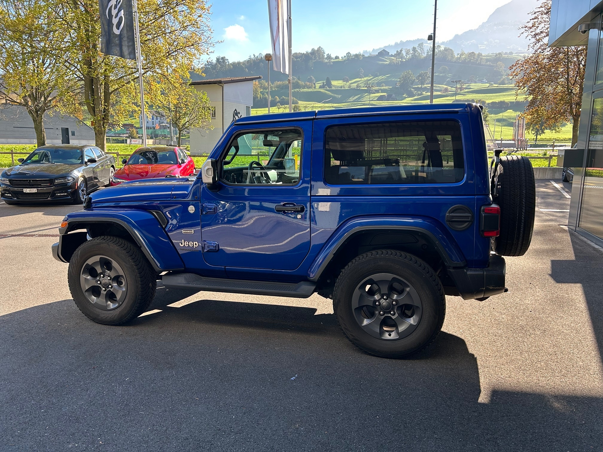 Auction Image