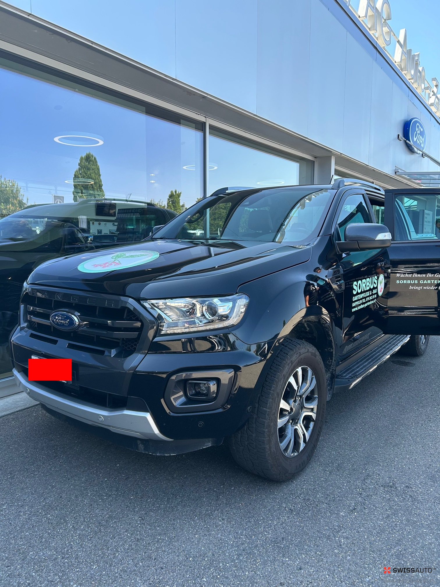 Auction Image
