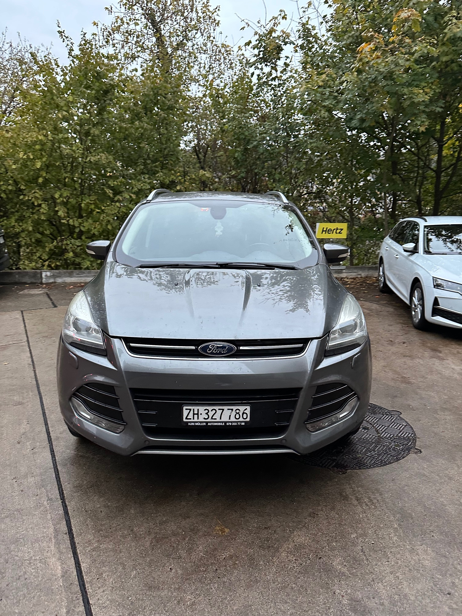Auction Image