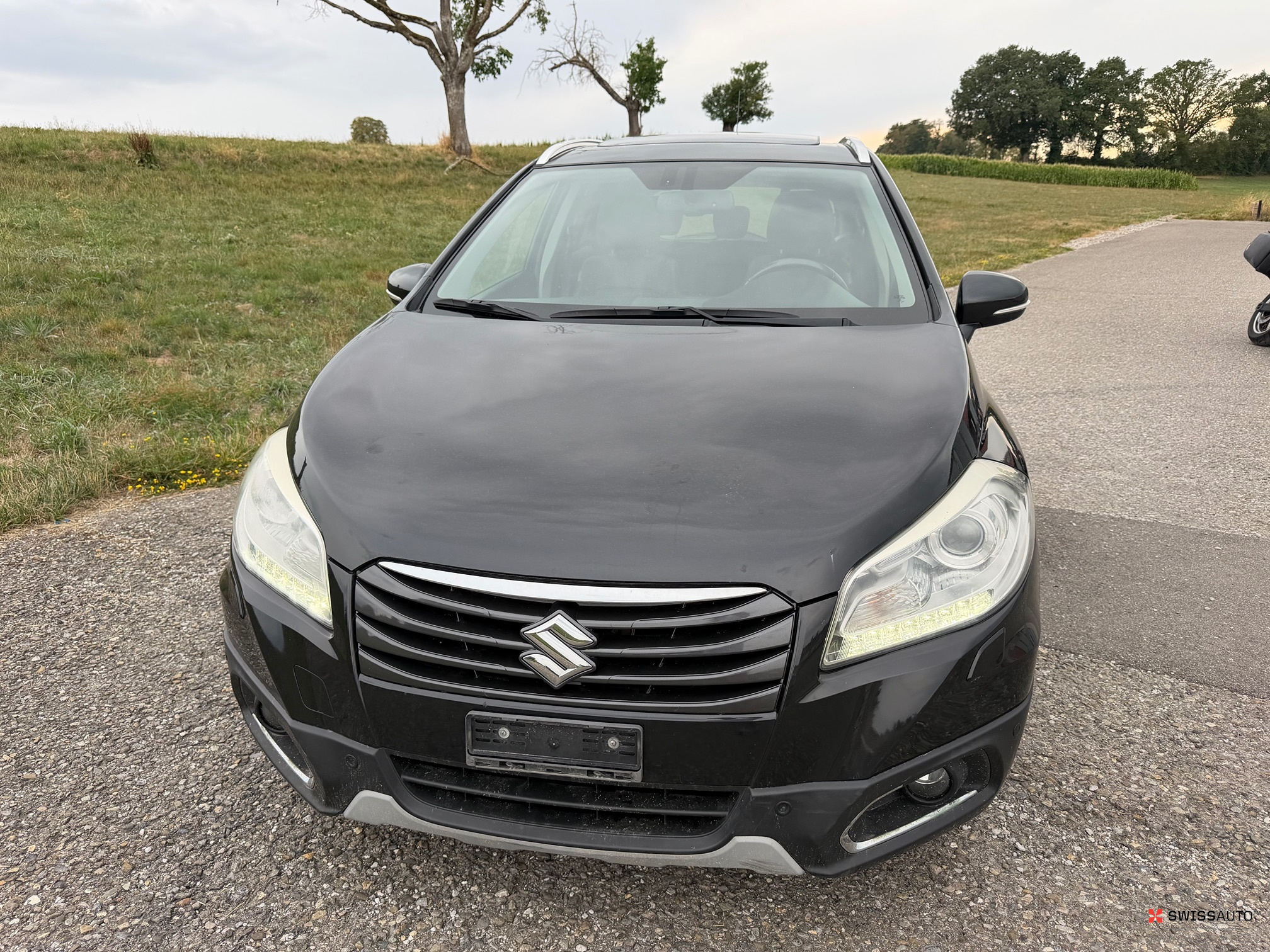 Auction Image