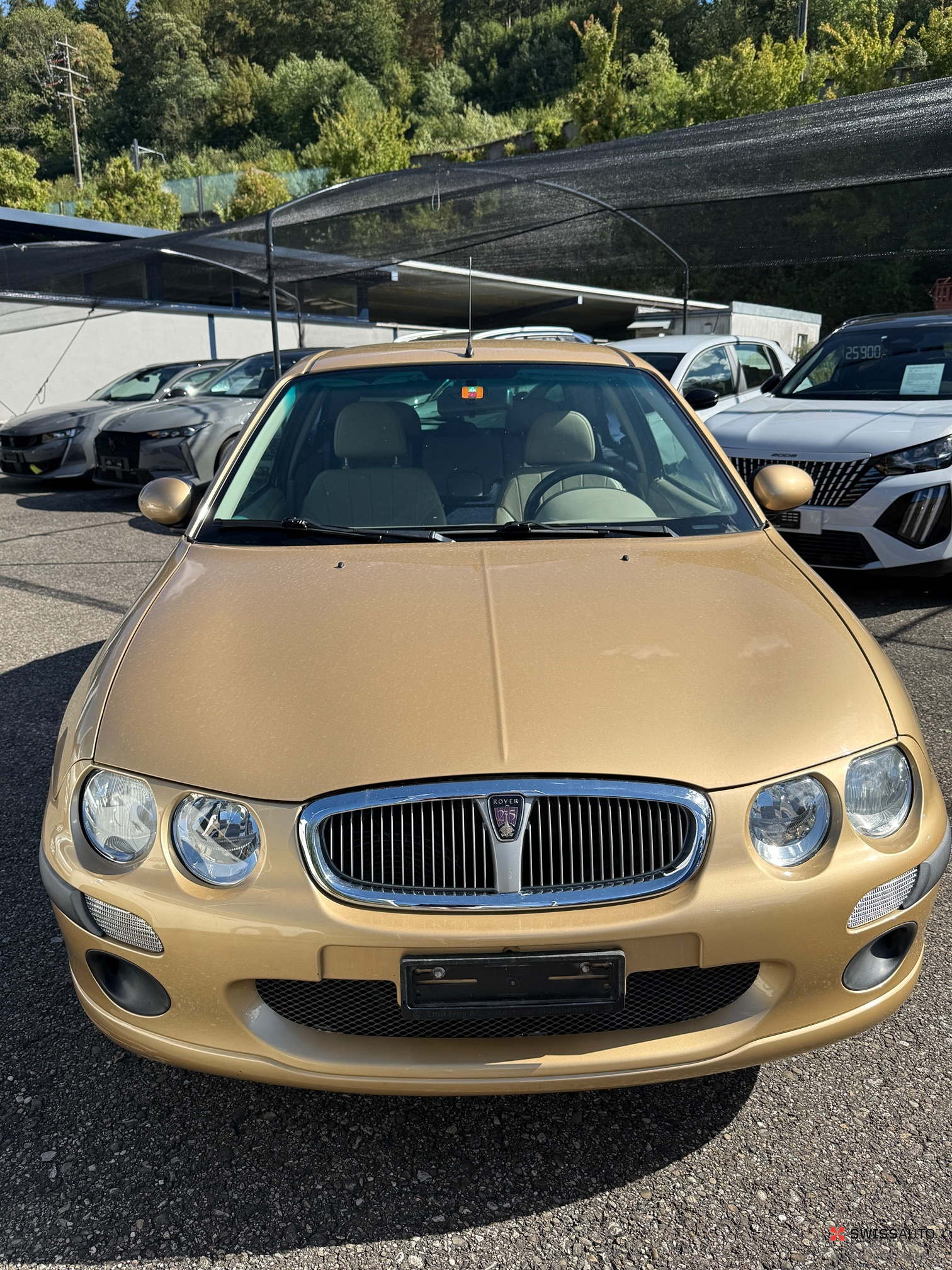 Auction Image