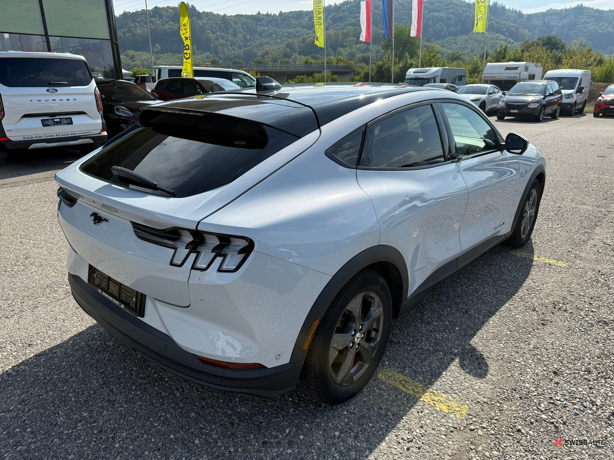 Auction Image