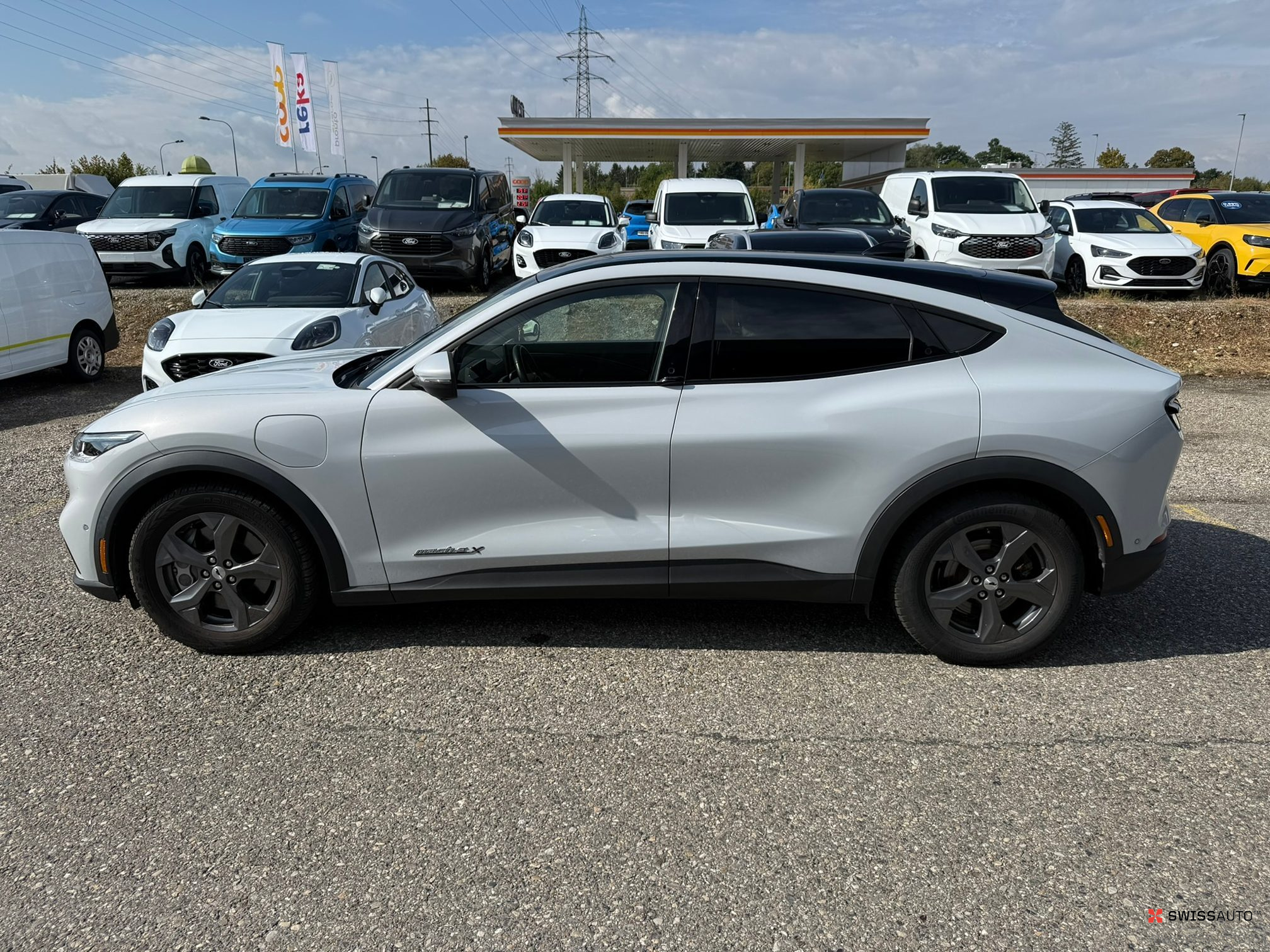 Auction Image