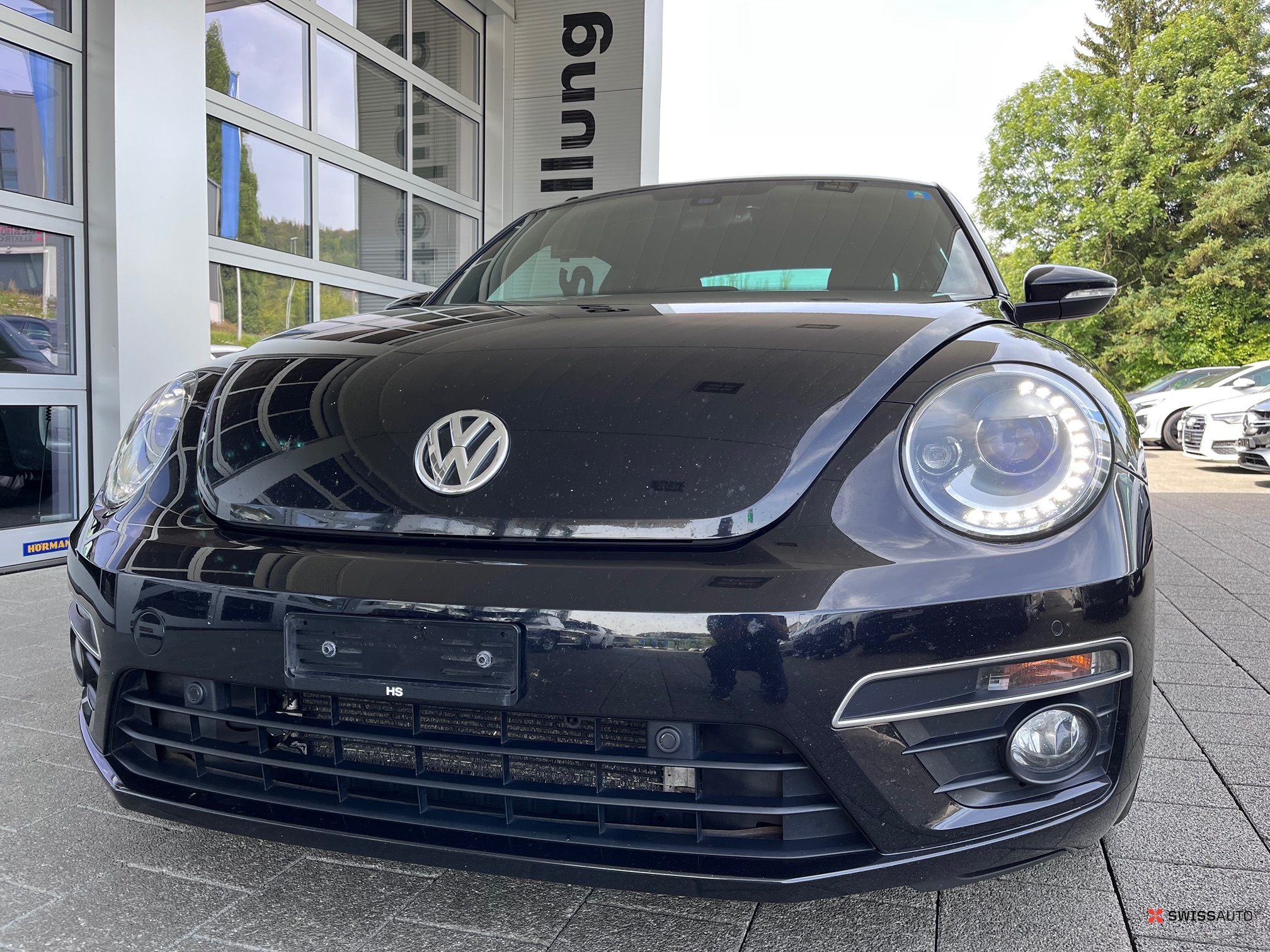 Auction Image