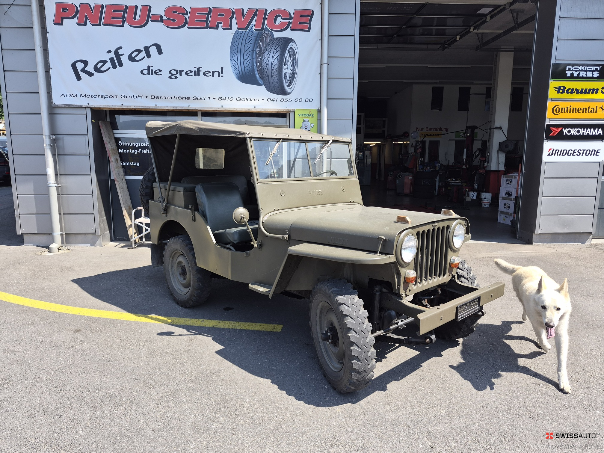 Auction Image
