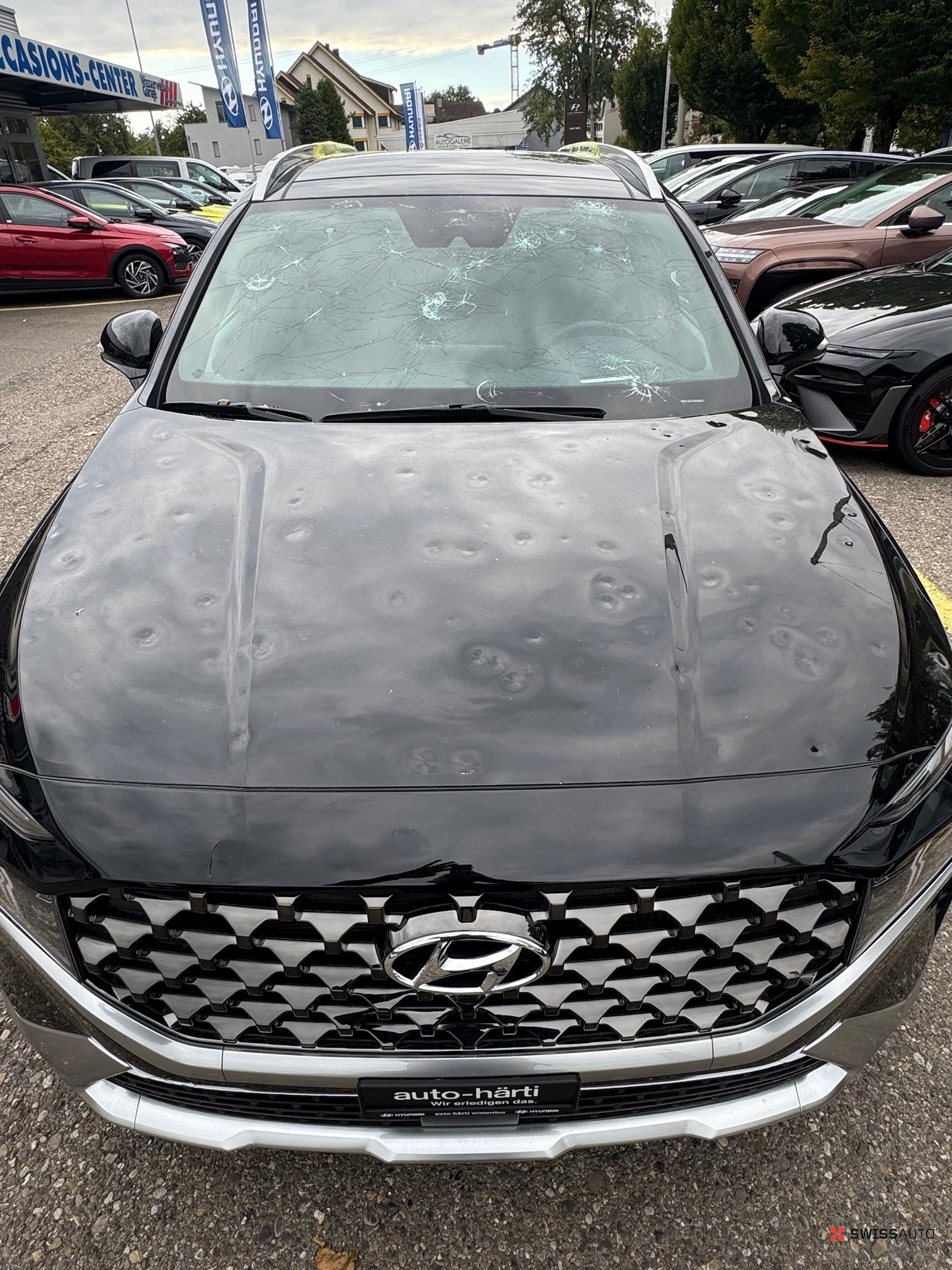Auction Image